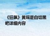 《狂飙》黄瑶是白切黑吧详细内容