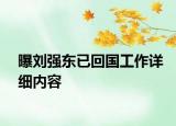 曝刘强东已回国工作详细内容