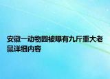 安徽一动物园被曝有九斤重大老鼠详细内容