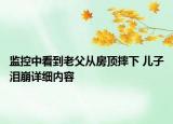 监控中看到老父从房顶摔下 儿子泪崩详细内容