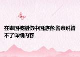 在泰国被割伤中国游客:警察说管不了详细内容