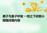 男子与妻子吵架 一怒之下砍断小拇指详细内容