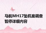 马航MH17坠机案调查暂停详细内容