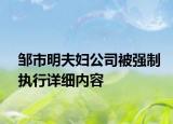 邹市明夫妇公司被强制执行详细内容