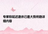 专家称延迟退休已是大势所趋详细内容