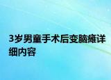 3岁男童手术后变脑瘫详细内容