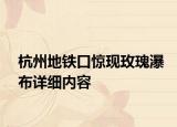 杭州地铁口惊现玫瑰瀑布详细内容