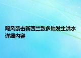 飓风袭击新西兰致多地发生洪水详细内容