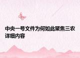 中央一号文件为何如此聚焦三农详细内容