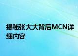 揭秘张大大背后MCN详细内容