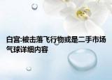 白宫:被击落飞行物或是二手市场气球详细内容