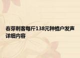 春芽刺客每斤138元种植户发声详细内容