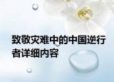 致敬灾难中的中国逆行者详细内容