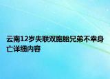 云南12岁失联双胞胎兄弟不幸身亡详细内容