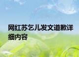 网红苏乞儿发文道歉详细内容
