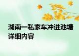 湖南一私家车冲进池塘详细内容