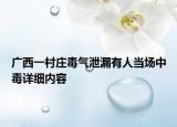 广西一村庄毒气泄漏有人当场中毒详细内容
