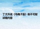 丁太升说《乌梅子酱》俗不可耐详细内容