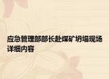 应急管理部部长赴煤矿坍塌现场详细内容