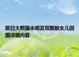 旅日大熊猫永明及双胞胎女儿回国详细内容
