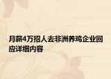 月薪4万招人去非洲养鸡企业回应详细内容