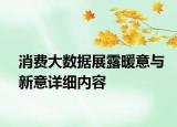 消费大数据展露暖意与新意详细内容