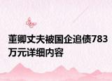 董卿丈夫被国企追债783万元详细内容