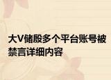 大V储殷多个平台账号被禁言详细内容