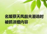 名媛蔡天凤前夫潜逃时被抓详细内容