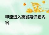 甲流进入高发期详细内容