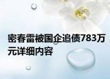 密春雷被国企追债783万元详细内容