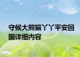 守候大熊猫丫丫平安回国详细内容