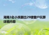 湖南3名小孩翻出29楼窗户玩耍详细内容