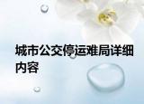 城市公交停运难局详细内容