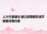 人大代表建议:建立轻罪前科消灭制度详细内容