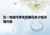在一线城市养老需要花多少钱详细内容