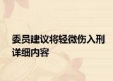 委员建议将轻微伤入刑详细内容