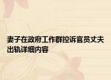 妻子在政府工作群控诉官员丈夫出轨详细内容