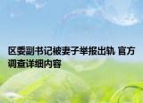 区委副书记被妻子举报出轨 官方调查详细内容