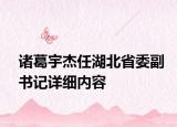 诸葛宇杰任湖北省委副书记详细内容