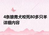 4条狼青犬咬死80多只羊详细内容