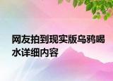 网友拍到现实版乌鸦喝水详细内容