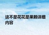 这不是花花是果赖详细内容