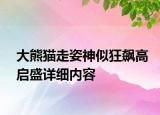 大熊猫走姿神似狂飙高启盛详细内容