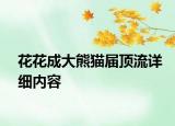 花花成大熊猫届顶流详细内容