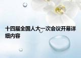 十四届全国人大一次会议开幕详细内容