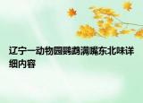 辽宁一动物园鹦鹉满嘴东北味详细内容