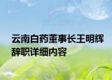 云南白药董事长王明辉辞职详细内容