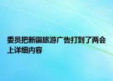 委员把新疆旅游广告打到了两会上详细内容