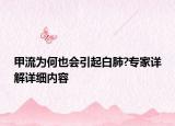 甲流为何也会引起白肺?专家详解详细内容